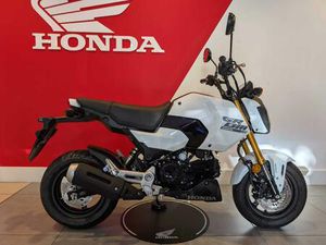 HONDA MSX125 GROM MSX125AR2ED (24YM) 125 CC