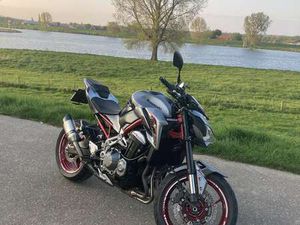 70 KW PRACHTIGE KLEURENSTELLING