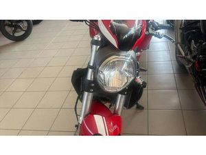 VENDO DUCATI MONSTER 821 STRIPE ABS (2015 - 17) USATA A CHERASCO (CODICE 9831913) - MOTO.IT
