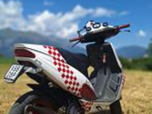 PHANTOM F12 50/75 TOP VIOLA