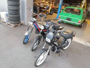 CILO WILDCAT TOMOS SPRINT