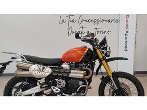 VENDO TRIUMPH SCRAMBLER 1200 XE (2024 - 25) USATA A TORINO (CODICE 9833562) - MOTO.IT