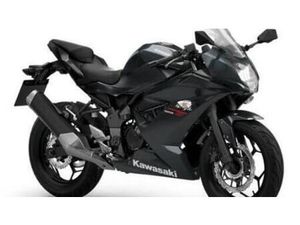 VENDO KAWASAKI NINJA 125 (2025 - 26) NUOVA A ROSTA (CODICE 9834067) - MOTO.IT