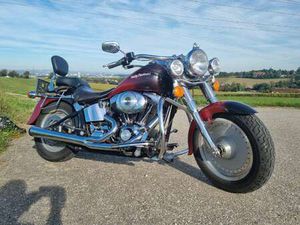HARLEY-DAVIDSON SOFTAIL FLSTF FATBOY SOFTTAIL CHOPPER ROT