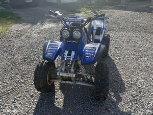 QUAD 350 WARRIOR