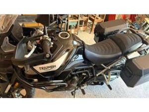 TIGER 900 GT (2020 - 23)