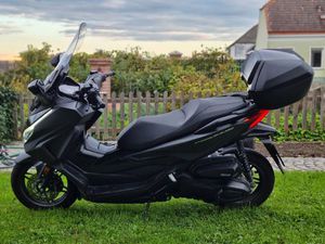 OCCASION HONDA FORZA 350