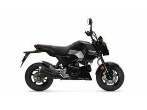 HONDA MSX 125 AR GROM *AKTIONSPREIS*