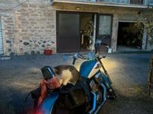 HONDA SHADOW 600 VT 1995