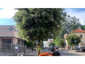 INTERCEPTOR 650 (2019 - 20)