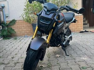 HONDA GROM