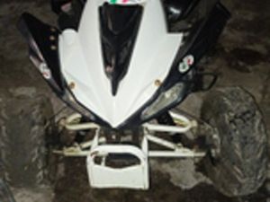 QUAD MONSTER 125