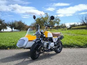 GZ DUO 125 SEITENWAGEN, BEIWAGEN GESPANN, MINIGESPANN WIE SKYTEAM