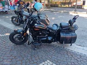 HARLEY-DAVIDSON SOFTAIL CROSS BONES - 2009