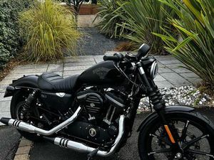 HARLEY 883 IRON A2