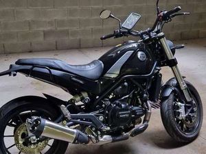 BENELLI LEONCINO NERO