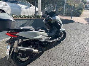 HONDA FORZA 350 SCHECKHEFTGEPFLEGT