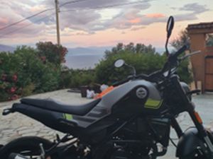 BENELLI LEONCINO 250