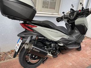 HONDA FORZA 350 SCHECKHEFTGEPFLEGT