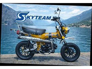 SKYTEAM SKYMAX 125-6 12