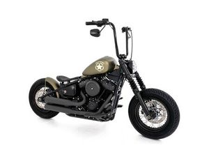 FXST SOFTAIL STANDARD 107