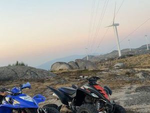 350 RAPTOR HOMOLOGUÉ