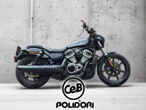 HARLEY DAVIDSON NIGHTSTER 975 SPECIAL - ANNO:02/20