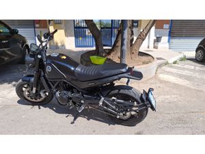 LEONCINO 500 STRADALE( ANNO 2025)