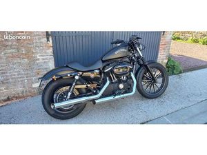 HARLEY SPORSTER 883 IRON A2