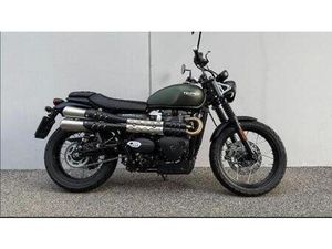 VENDO TRIUMPH SCRAMBLER 900 (2023 - 25) USATA A ALBESE CON CASSANO (CODICE 9848906) - MOTO.IT