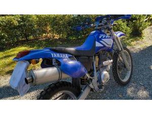 VENDO YAMAHA TT 600 R USATA A SAN GIULIANO TERME (CODICE 9848663) - MOTO.IT