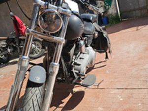 HARLEY DAVIDSON STREET BOB