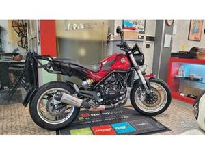 BENELLI LEONCINO 500 TRAIL