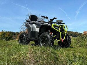 NEU GOLIATH 3.1 MODELL 26 MODERNES ELEKTRO ATV ...
