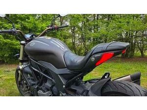 VENDO BENELLI 502 C (2019 - 20) USATA A PARMA (CODICE 9849577) - MOTO.IT