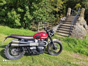 TRIUMPH 900 STREET SCRAMBLER, HU NEU