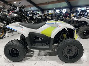 CF MOTO CFORCE EV 110