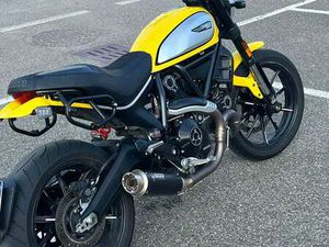 DUCATI SCRAMBLER ICON GIALLO
