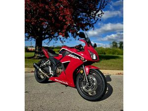 2019 HONDA® CBR300R