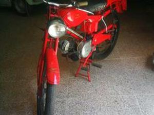 GUZZI CARDELLINO 1954