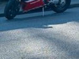 DUCATI 848 PERMUTO TURISTICA