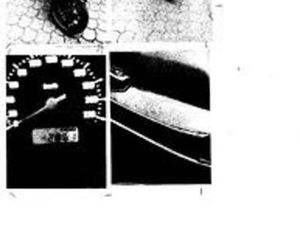 HONDA ALTRO MODELLO - 2008