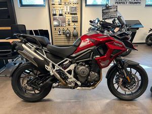 TRIUMPH TIGER 1200 GT PRO 2025 - VORFÜHRER