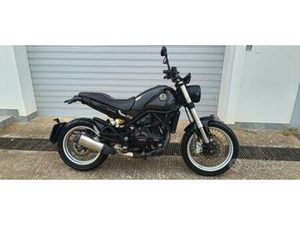 BENELLI LEONCINO 500 - 2022