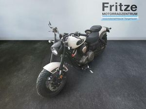 BENDA CHINCHILLA 500 WINTER AKTION VORFÜHRER !