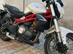 VENDITA BENE NELLO 302S