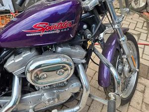 2002 HARLEY DAVIDSON SPORTSTER 883 HUGGER