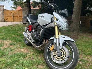 HONDA HORNET