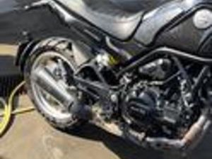 BENELLI LEONCINO TRAILER 500