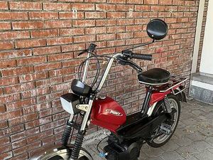 TÖFFLI PONY GTX 521 CANTON BERNE -